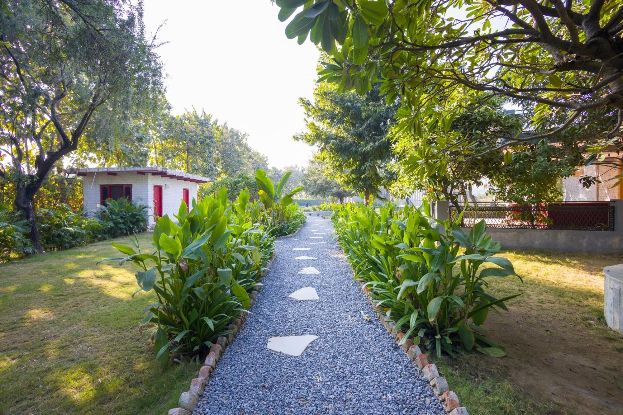 Villa Elivaas Hidden Oasis 4Bhk With Pool, Mud House & Container House Dhauj Exterior foto